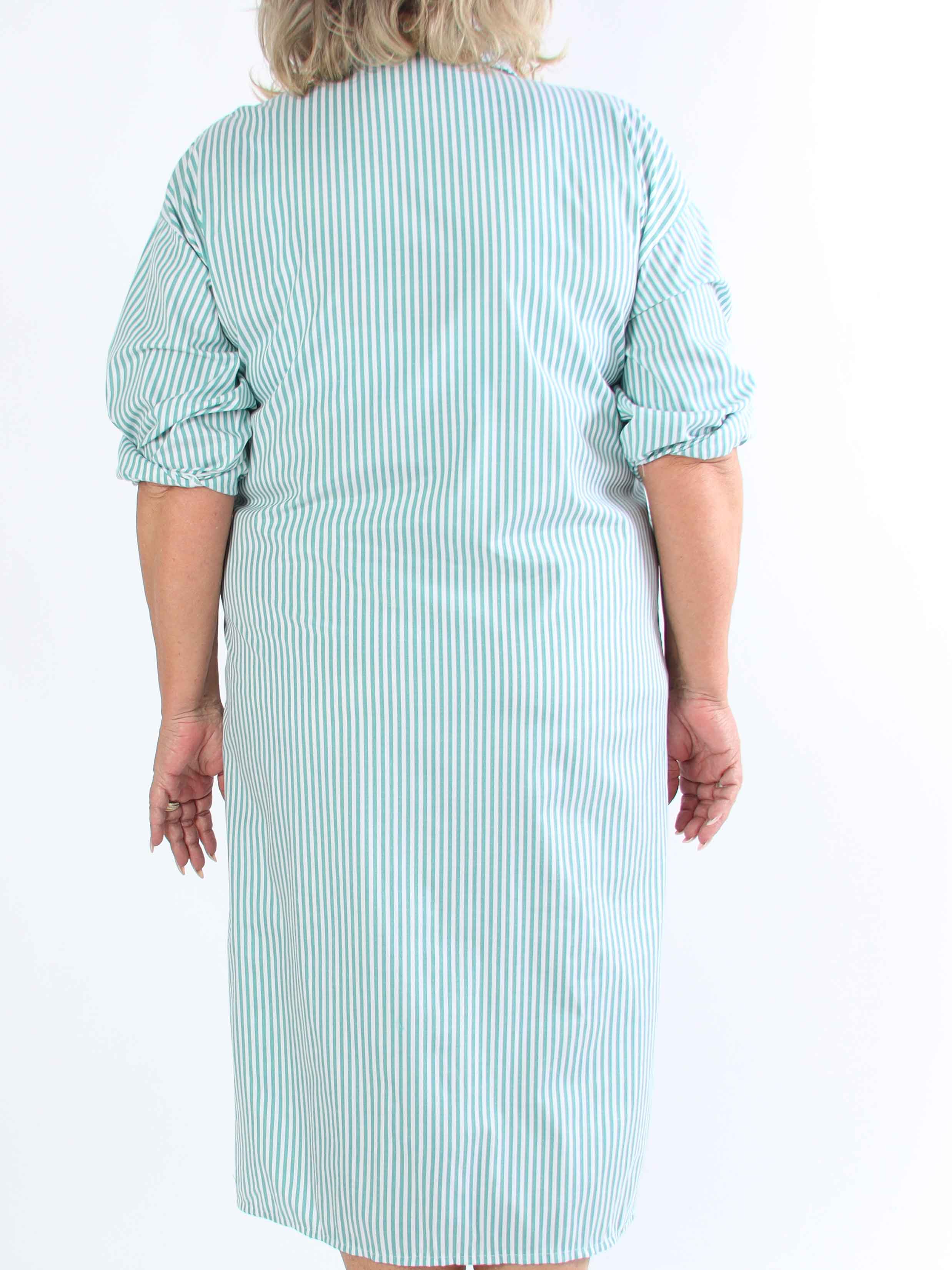 Raizal - Plus size randig skjortklänning i viskos med brosch